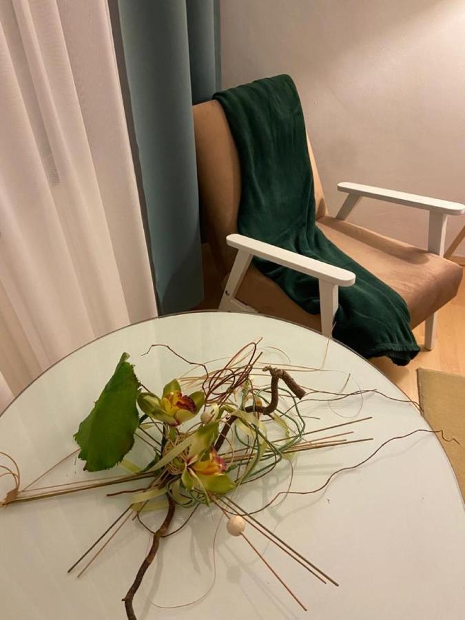 Cazare Medias, Apartament Modern מראה חיצוני תמונה