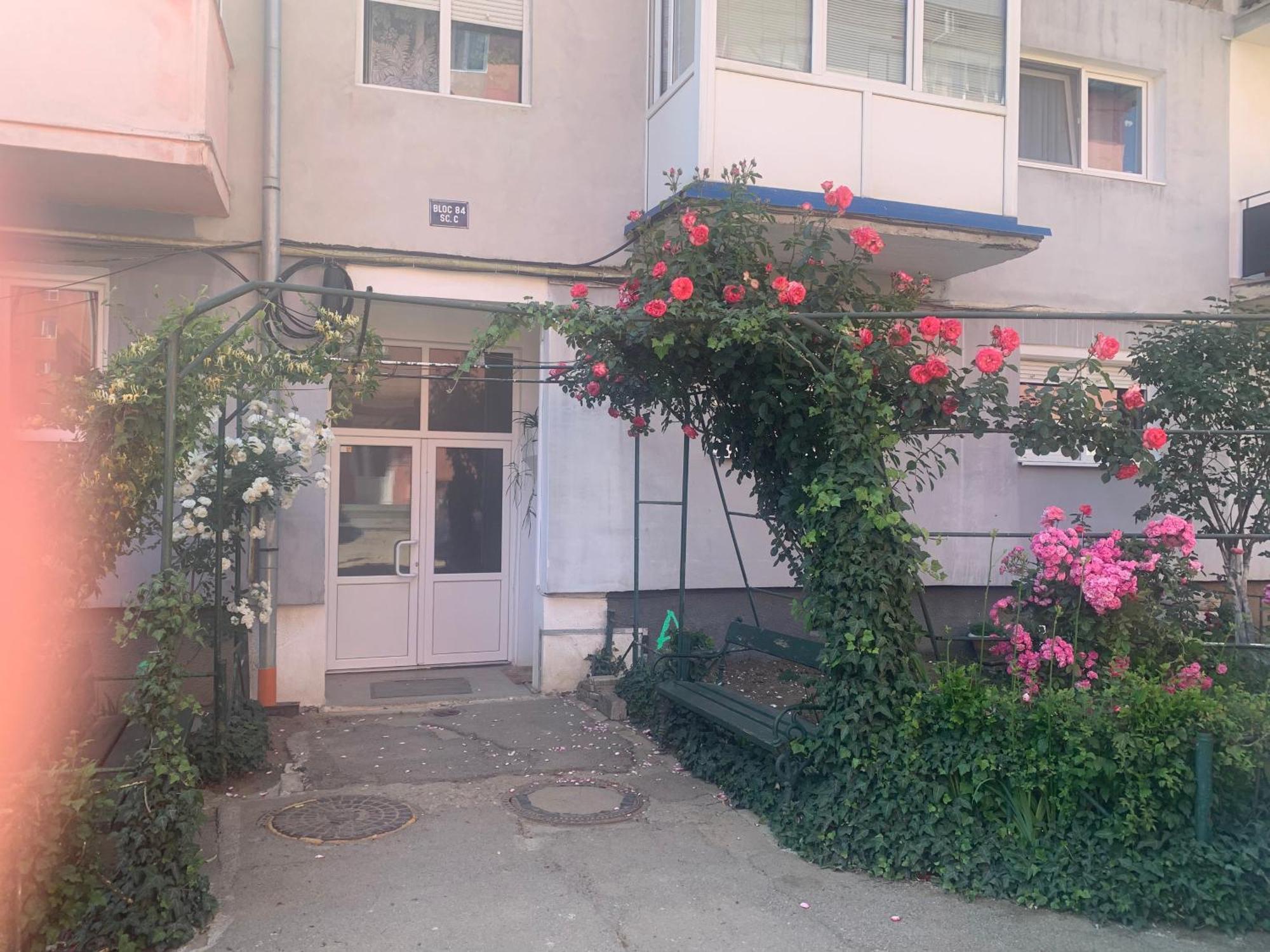 Cazare Medias, Apartament Modern מראה חיצוני תמונה