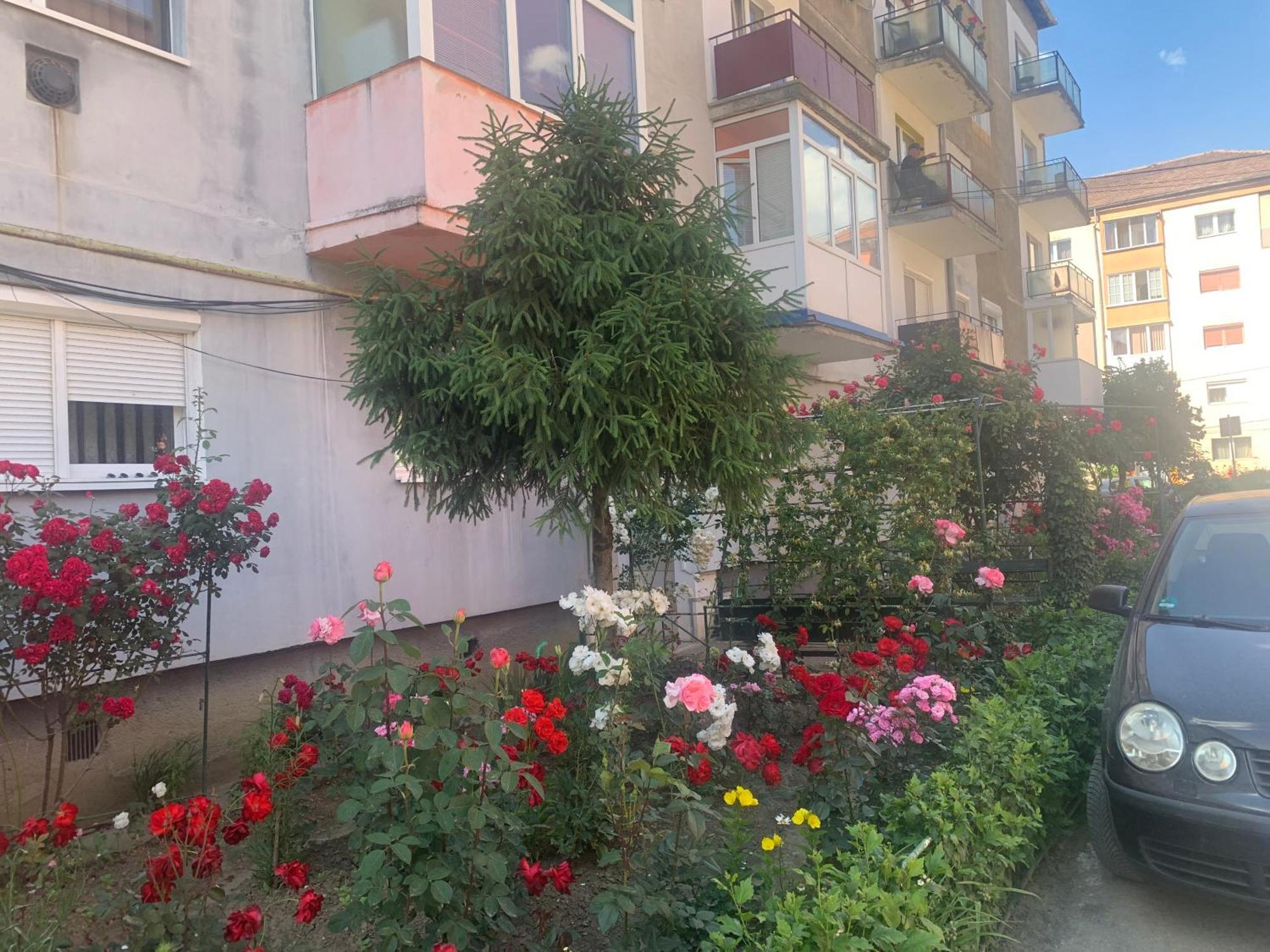 Cazare Medias, Apartament Modern מראה חיצוני תמונה